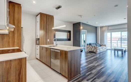 8155 Boul. Leduc 313, Brossard, J4Y0N9